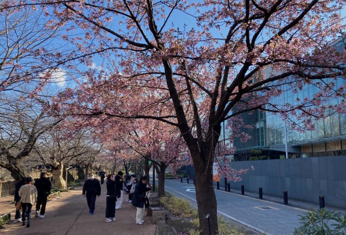 3月定期ラン行いました(皇居開催)